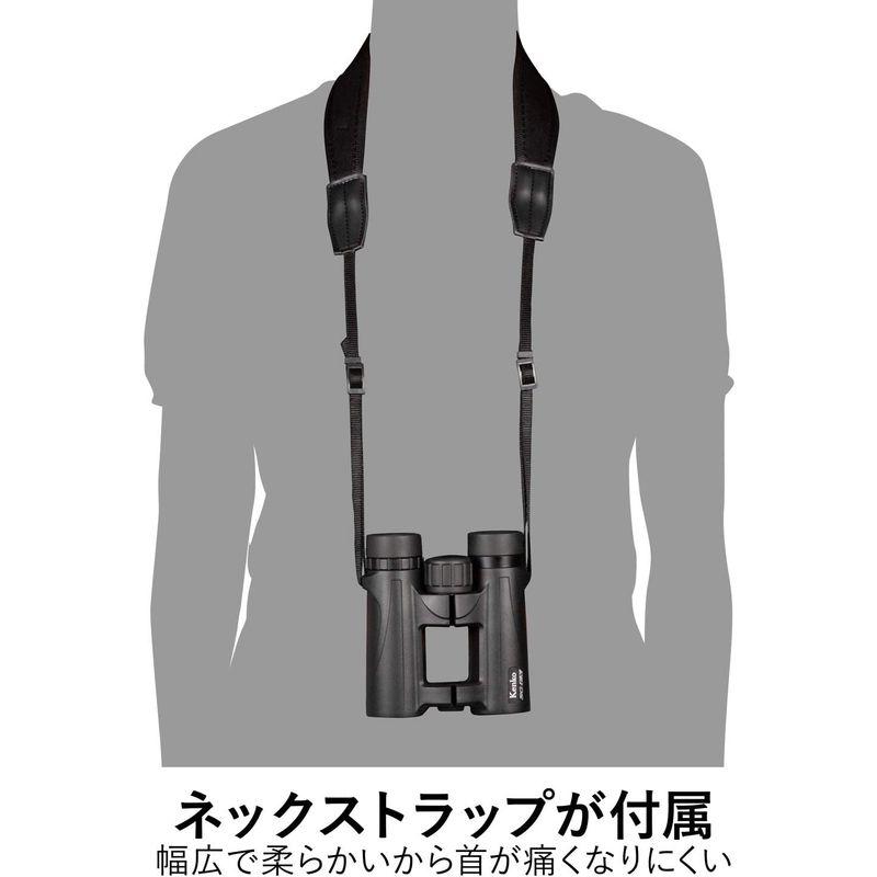 Kenko 双眼鏡 コンサート用 SGEX ダハプリズム式 10倍 34口径 完全防水 フルマルチコーティング 022108 完全防水 双眼鏡 コンサート用 SGEX ダハプリズム式 10倍 34口径 フルマルチコーティング