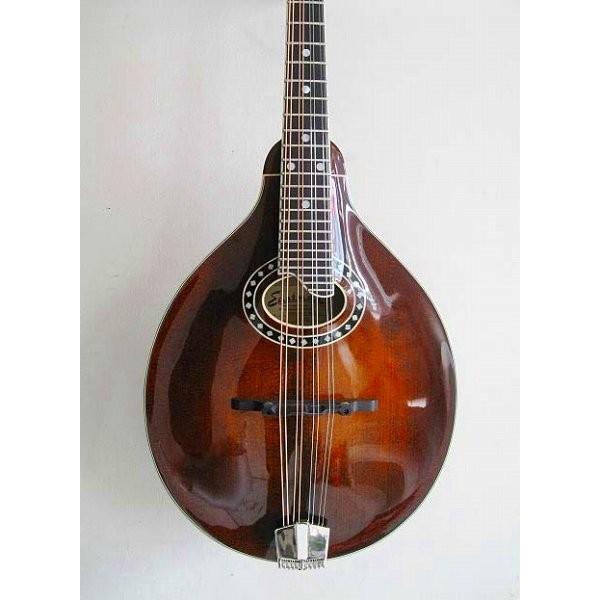 福袋特集 21 Eastman フラットマンドリン Models F Style Md 814 イーストマンギターズ Guitars アコースティックギター クラシックギター Www Votanistas Com