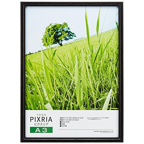 まとめ買いセット】HAKUBA 木製額縁 ピクスリア A3 ブラック 10枚
