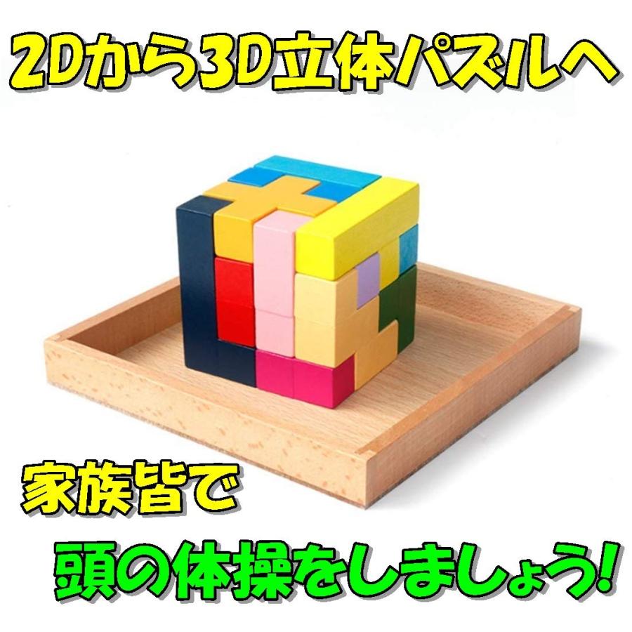 TradeWind] スライドパズル 木製 ウッド 立体 3D テトリス ブロック