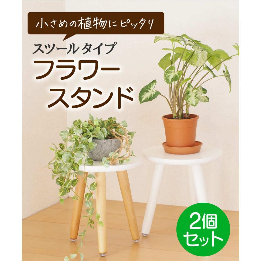 フラワースタンド 2個セット おしゃれ 木製 スツール 花台 植物台 置き台 観葉植物 鉢植え 室内 屋内 プランタースタンド｜blt03｜02