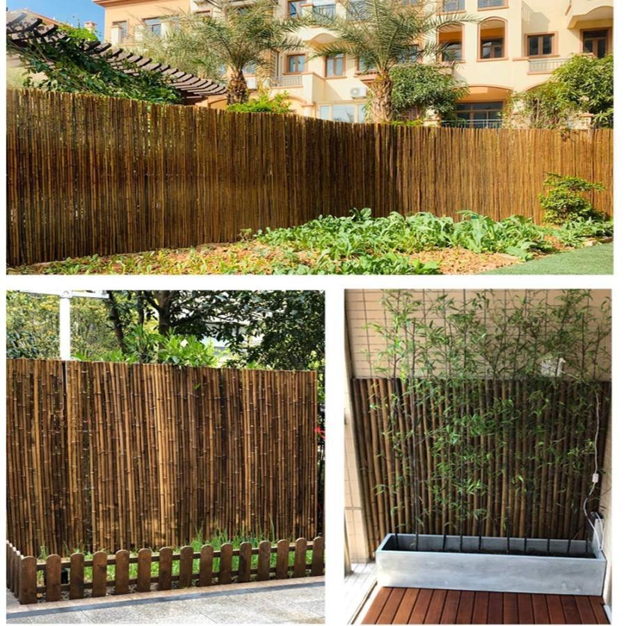 bambou-pot-terrasse-bacs-turquoise-grise-arbres-fauteuil