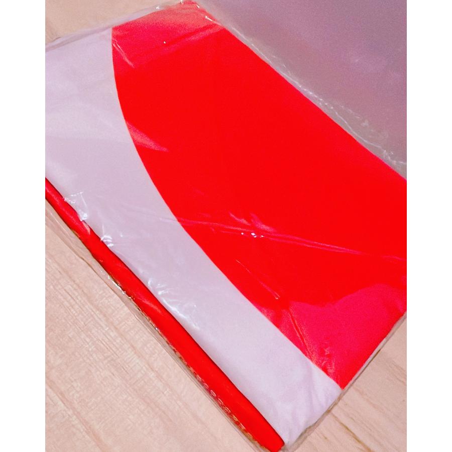 送料無料 日本 国旗 JAPAN 大サイズ 約 90×150cm 卒業式 ワールド
