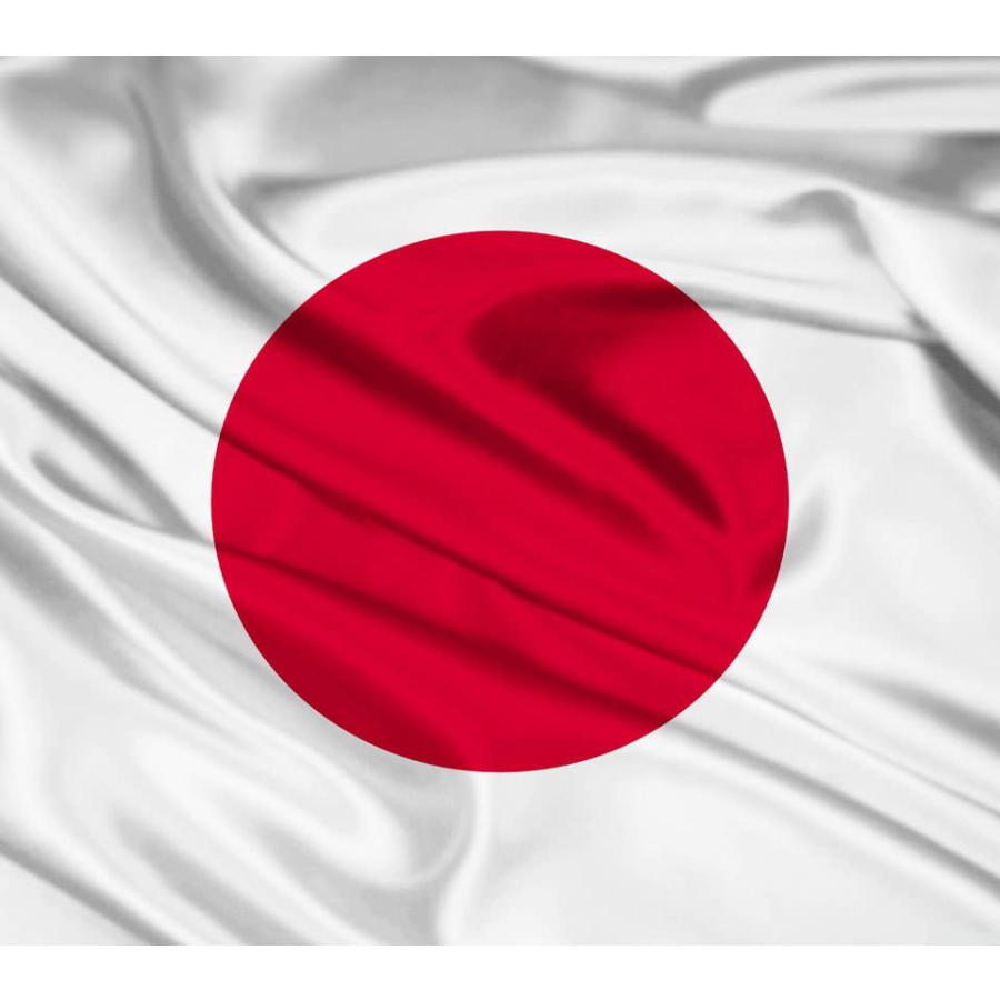 送料無料 日本 国旗 JAPAN 大サイズ 約 90×150cm 卒業式 ワールド
