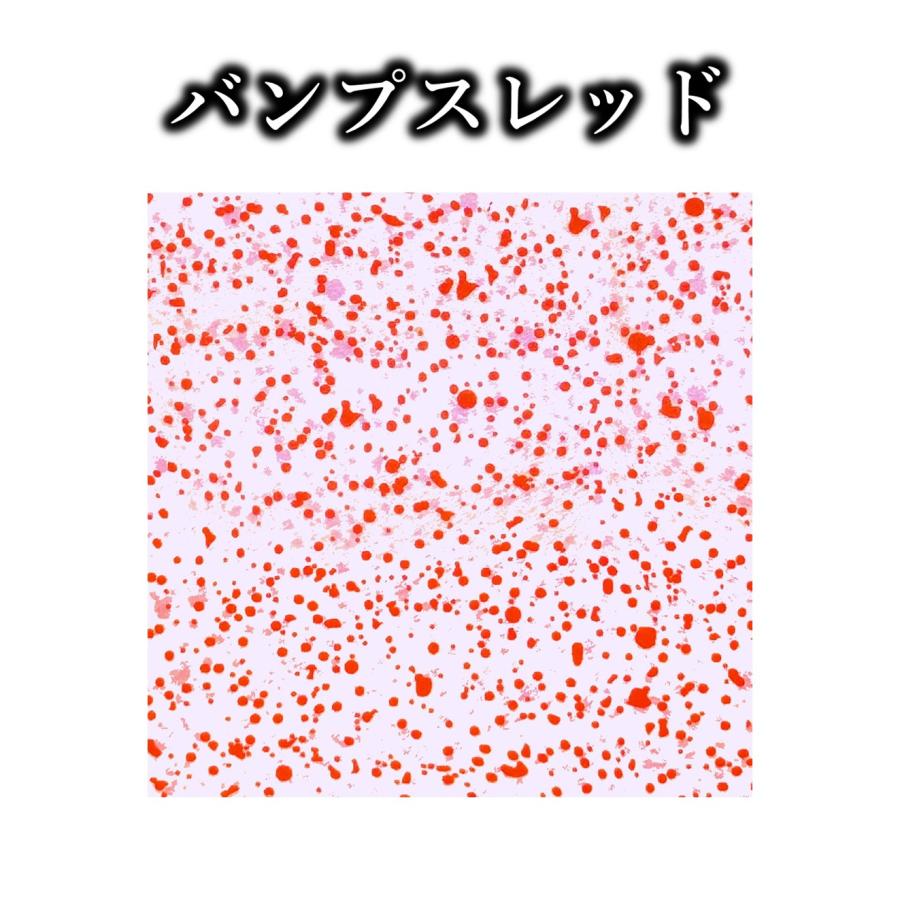 鯛ラバ 04 PLEX プレックス シリコンネクタイ blue abyss 船釣り オフショア オリジナル Youtube タイラバ 釣り アウトドア フィッシング シリコン ラバー |  | 15