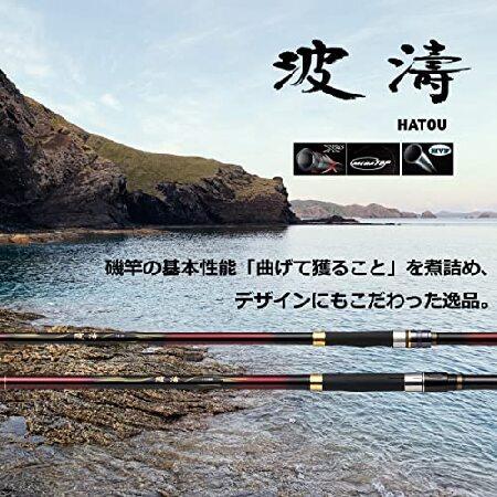 ダイワ(DAIWA) カゴ遠投 波濤 4-45遠投・N レッド 