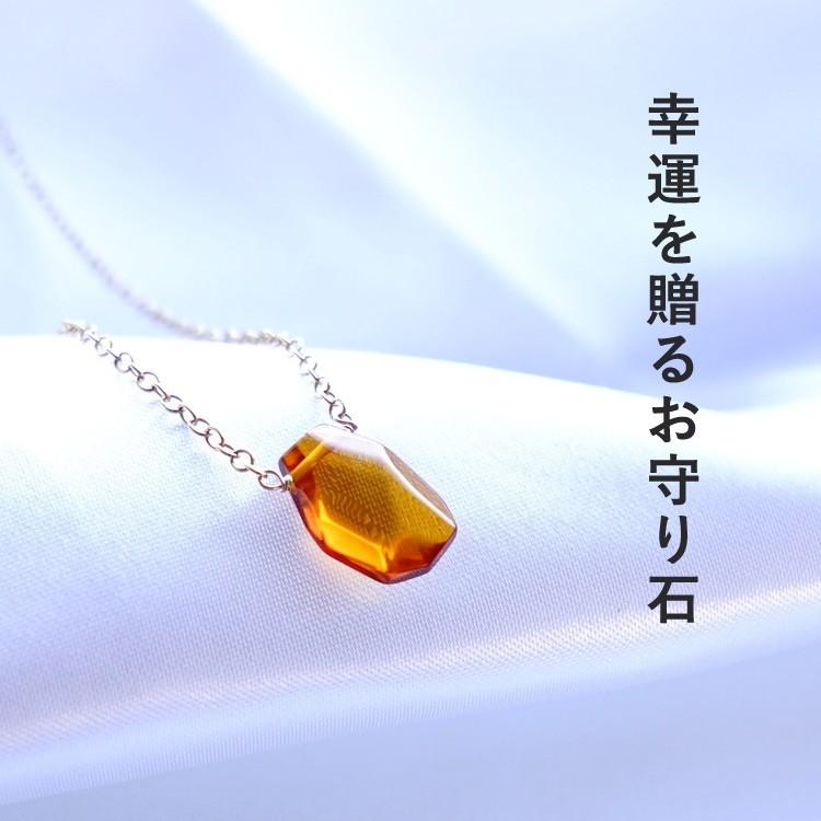 天然石 ペンダント K14gf 琥珀 アンバー 石言葉 カード付き 幸運 可愛い おしゃれ 美しい 14kgf 一粒 プレゼント ネックレス メンズ レディース ギフト Po 18 ブルーコーン 通販 Yahoo ショッピング