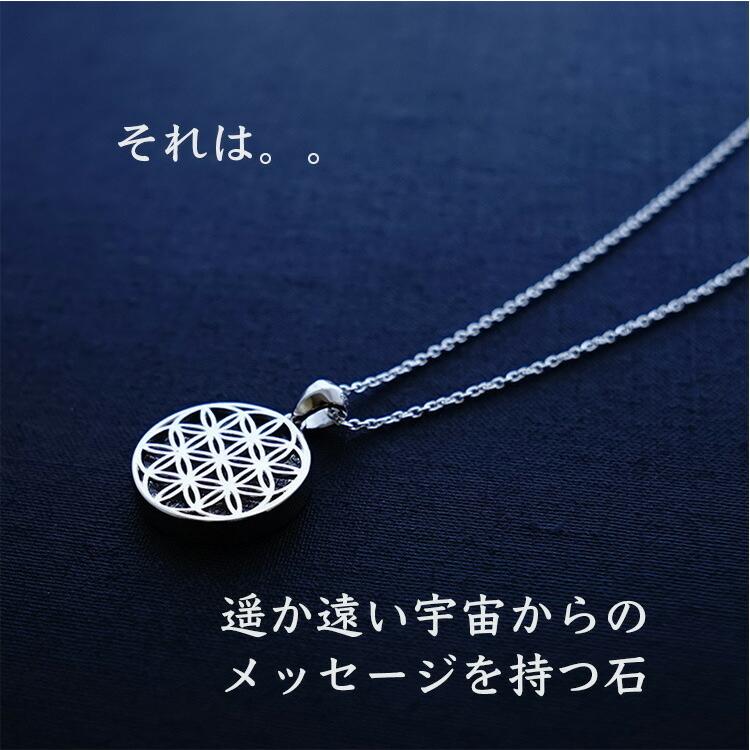天然石 ペンダント SV925 フラワーオブライフ ギベオン隕石 隕石 天然石 ペンダント SV925 フラワーオブライフ ギベオン隕石 隕石
