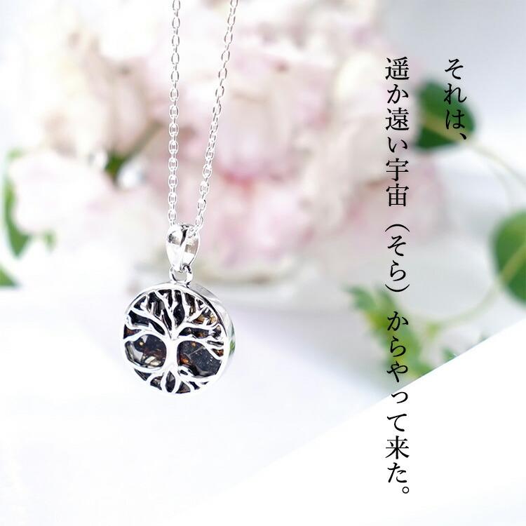 天然石 ペンダント SV925 パラサイト隕石 生命の樹 ツリーオブライフ