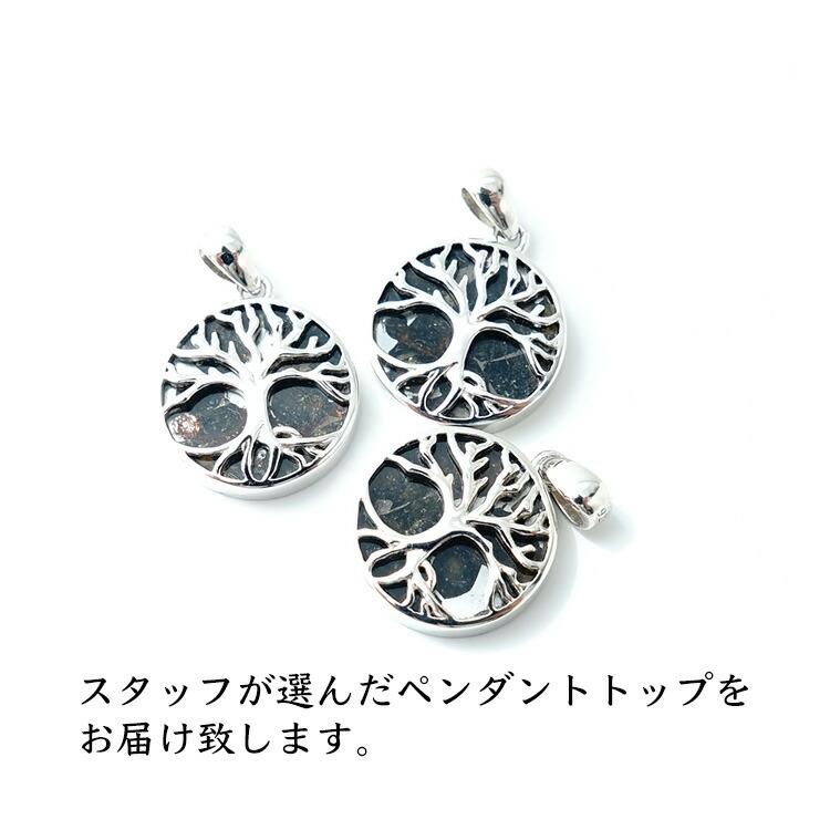 天然石 ペンダント SV925 パラサイト隕石 生命の樹 ツリーオブライフ