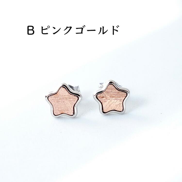 天然石 ピアス SV925 ギベオン隕石 3色から選べる！ 隕石 星 スター 
