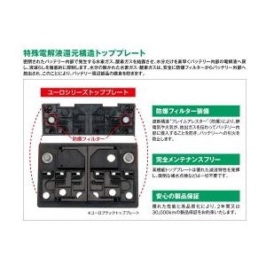 YANASE ヤナセ 輸入車用 EUROバッテリー EURO BLACK SB084LG : Blue