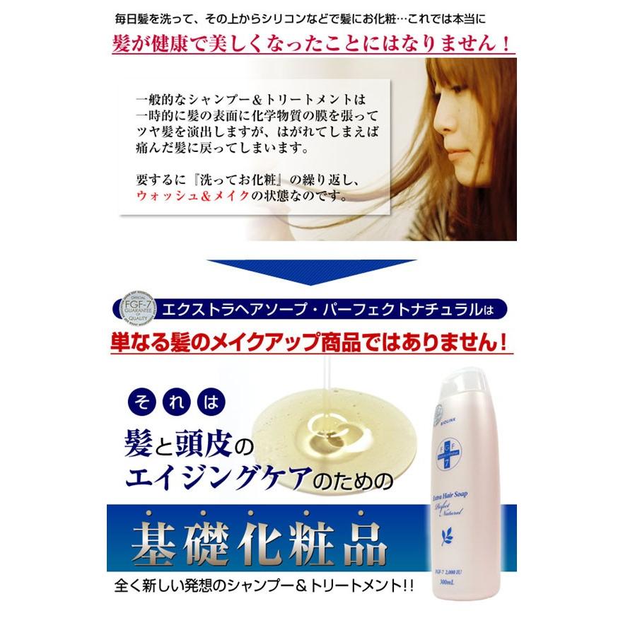 バイオリンク FGF−7 エクストラヘアソープ・パーフェクト