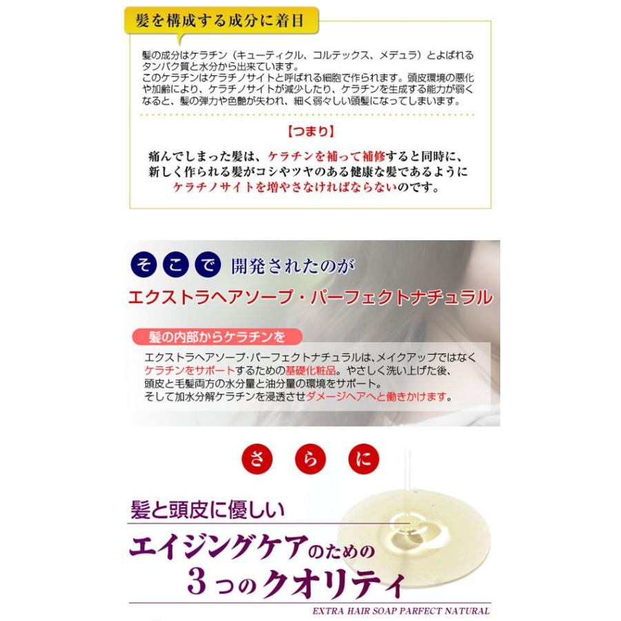 バイオリンク FGF−7 エクストラヘアソープ・パーフェクト