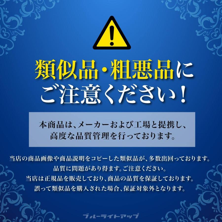 メイクブラシセット メイクブラシ 高級 収納 セット ケース プチプラ 10本 韓国 化粧ポーチ チークブラシ スターターセット ふんわり やわらか  化粧ブラシ｜blue-light-up｜05