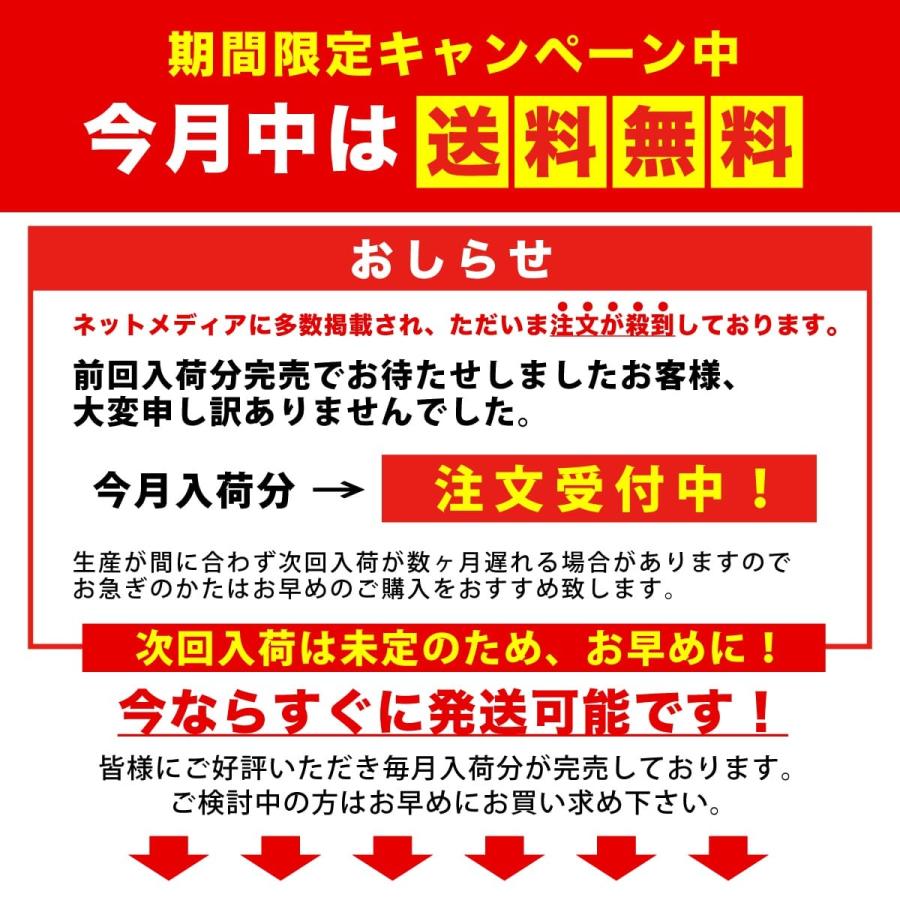 メイクブラシセット メイクブラシ 高級 収納 セット ケース プチプラ 10本 韓国 化粧ポーチ チークブラシ スターターセット ふんわり やわらか  化粧ブラシ｜blue-light-up｜21