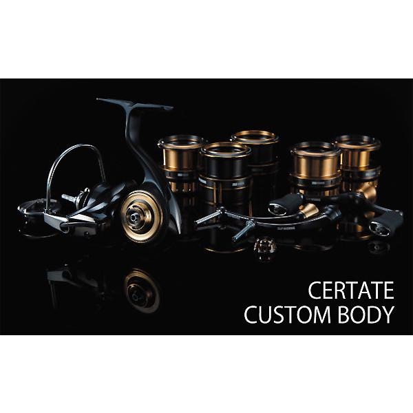 DAIWA（ダイワ） DAIWA 19CERTATE セルテートカスタムボディ LT 5000XH