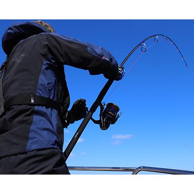 SALTIGA DAIWA AIR PORTABLE エアポータブル C80-8 : つり具 SALTIGA DAIWA AIR PORTABLE エアポータブル C80-8 : つり具