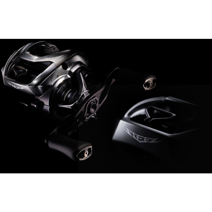 DAIWA（ダイワ） DAIWA STEEZ LIMITED スティーズ リミテッドSV TW