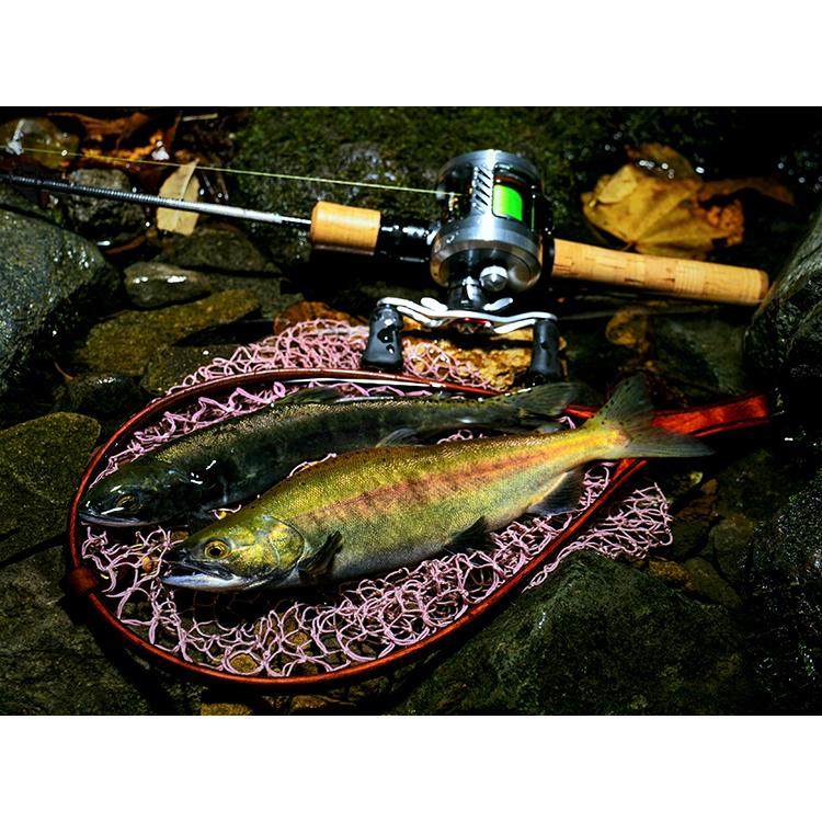 DAIWA（ダイワ） DAIWA SILVERCREEK STREAM TWITCHER シルバークリーク