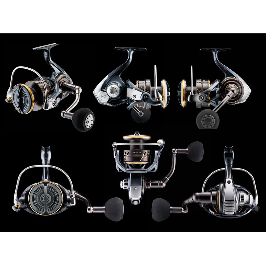 DAIWA（釣り） DAIWA 22CALDIA SW カルディアSW 4000D-CXH : つり具