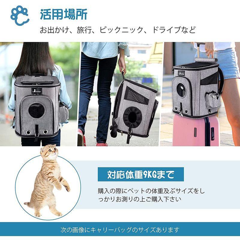 Siivton 猫キャリー うさぎ キャリーバッグ ペットキャリー 小動物用 小型犬 折りたたみ収納 拡張可能 洗える 犬 猫 通気性良く 贈与 キャリーバッグ Siivton 猫キャリー うさぎ キャリーバッグ ペットキャリー 小動物用 小型犬 折りたたみ収納 拡張可能 洗える 犬 猫 通気性良く 贈与 キャリーバッグ