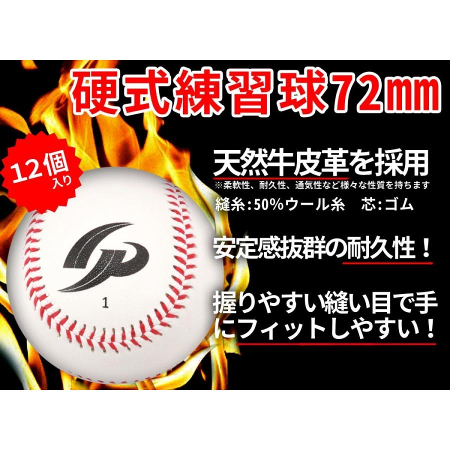 GP (ジーピー) 野球 硬式ボール 練習球 12個入り(1ダース) 34473 dwos6rj GP [GP] 野球 天然皮革 硬式ボール 練習球 12個入り 1ダース : Blue