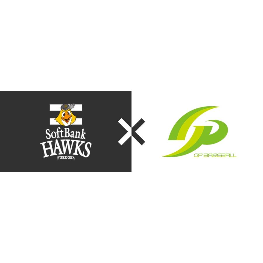 GP [福岡ソフトバンクホークス 公式グッズ] 野球 グローブ 子供用 (低