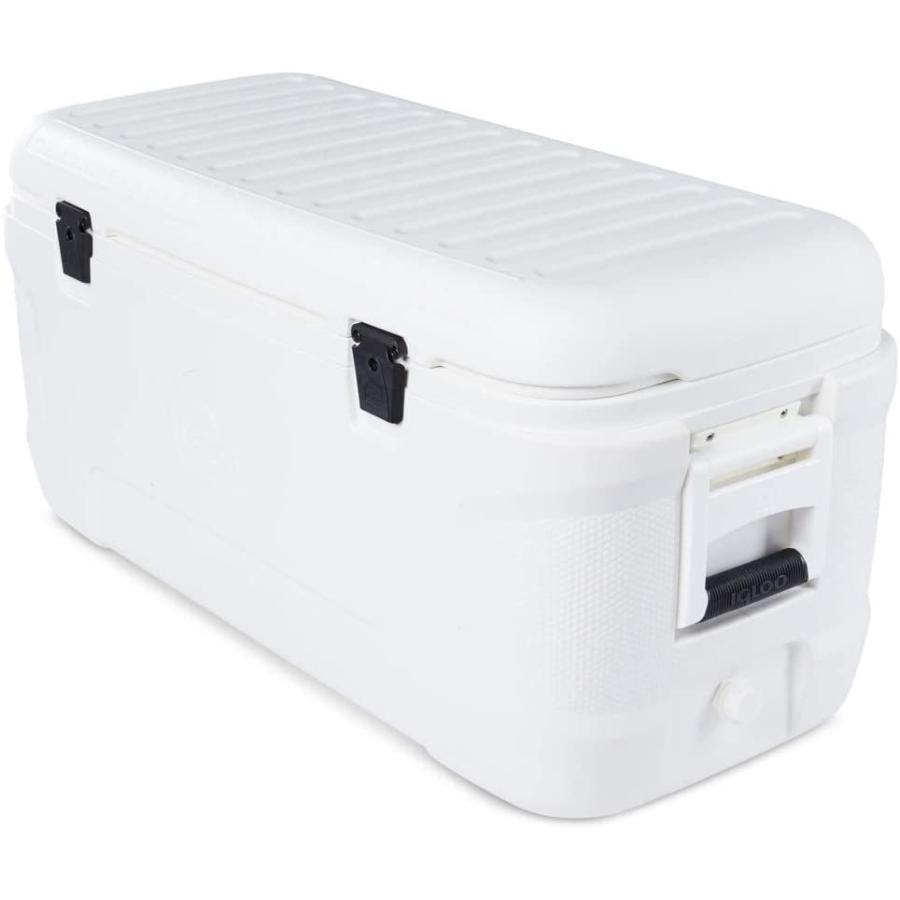 igloo（イグルー） 大型 クーラーボックス 113L MARINE CONTOUR 120 