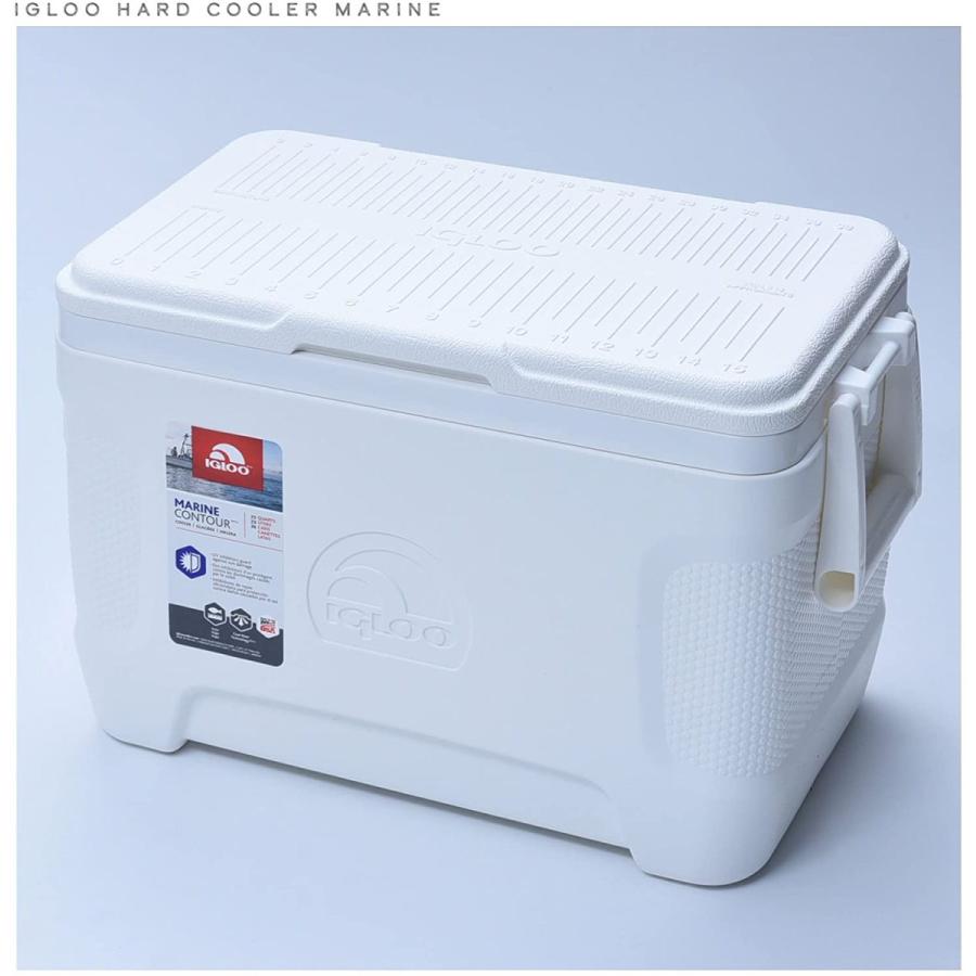Igloo イグルー クーラーボックス 23L 【公式通販】