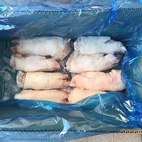 1197円 大注目 国産 豚足 焼足毛処理 大きいサイズ 全形 1本で約450ｇ 10本