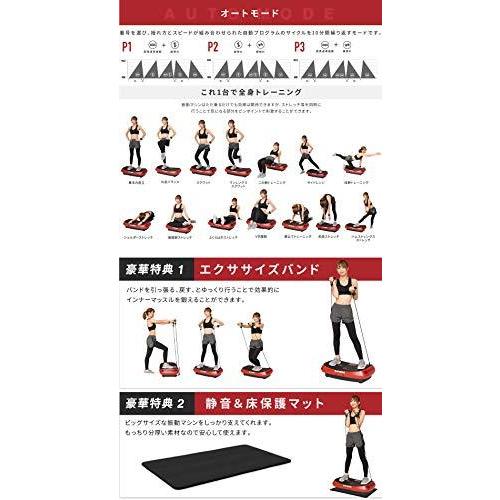 BARWING(バーウィング) 振動マシン7D 1分間4900回 振動調整 120段階 トリプルモーター ハイスペックモデル 7D ヨガ 振 ダイエット