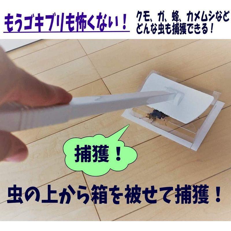 家虫キャッチャー 逃がすことも殺虫剤も使える捕虫器ゴキブリ クモ ガ等どんな虫にも使える捕獲器 (箱:透明柄:グレー)