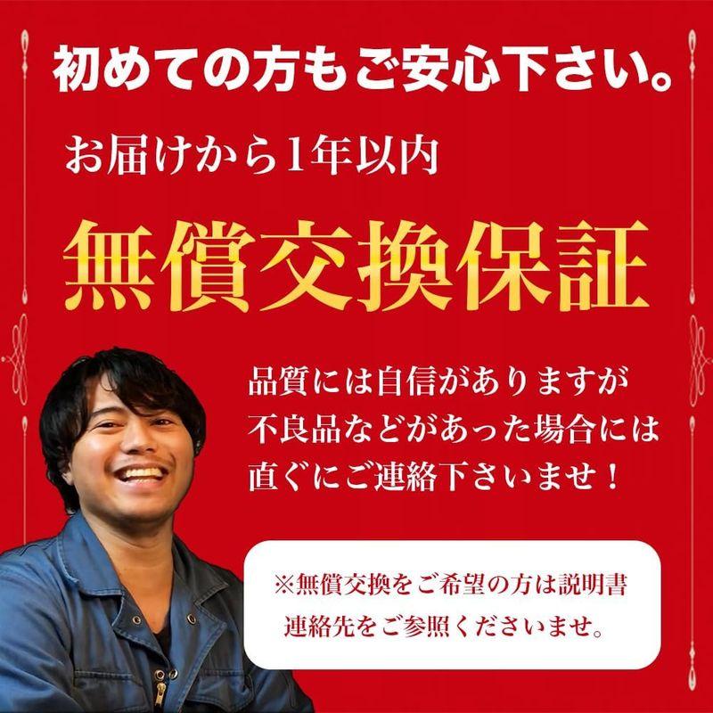 ながら洗車ホームウォッシュ『水道を持ち運ぶ人　』どこでも洗車決定版　電動水洗車　キャンプ　10L　海水浴　アウトドア　BBQ　出張洗車　洗車