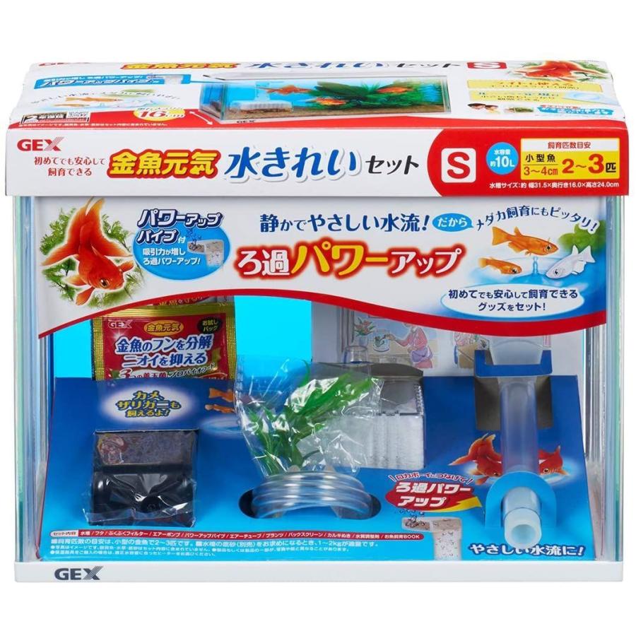即日発送 昆虫 ナミテントウムシ なみてんとうむし 紅紋型 ベニモンガタ 成虫 １匹 北海道 九州航空便要保温 Www Zenyosai Com