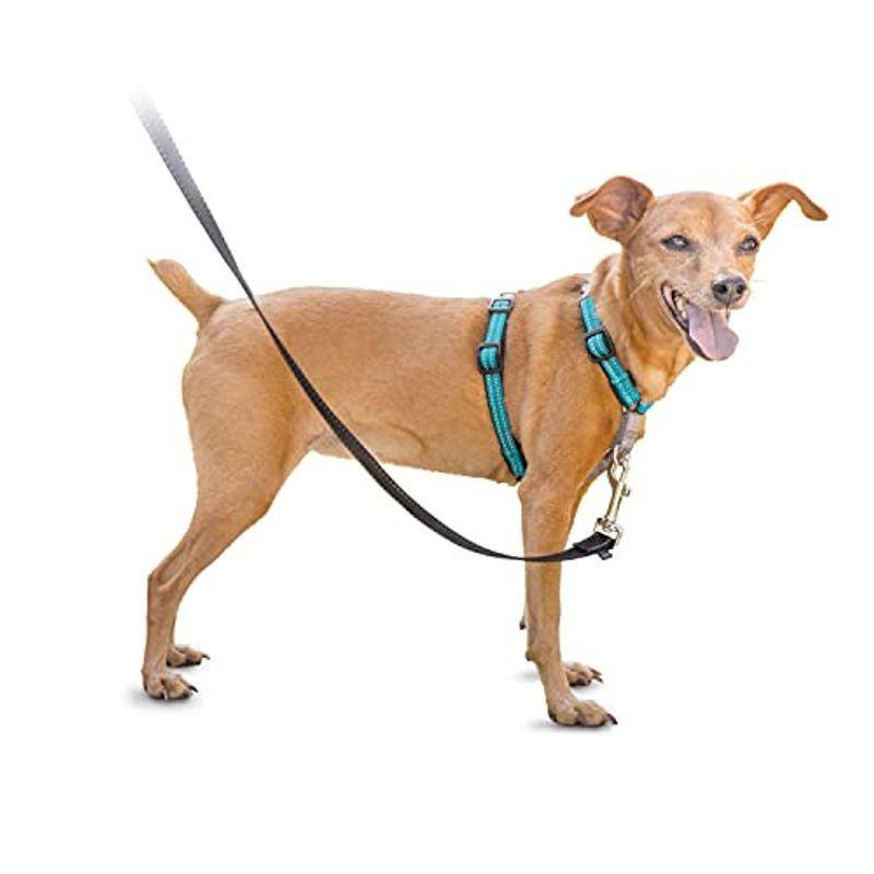 安いストア Petsafe 3 In 1 犬 ハーネス 小型犬 引っ張り防止 調整簡単 抜けない 耐久性が高い 夜間反射 車の中で安全 Xs グリーン 免税店 通販 Ssl Daikyogo Or Jp