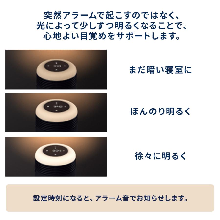 Blueair（ブルーエア） 空気清浄機 Mini Restful SC9i ダークブルー 12