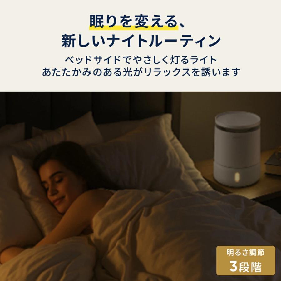 Blueair（ブルーエア） 加湿器 Humidifier H38i ストーングレー 11畳