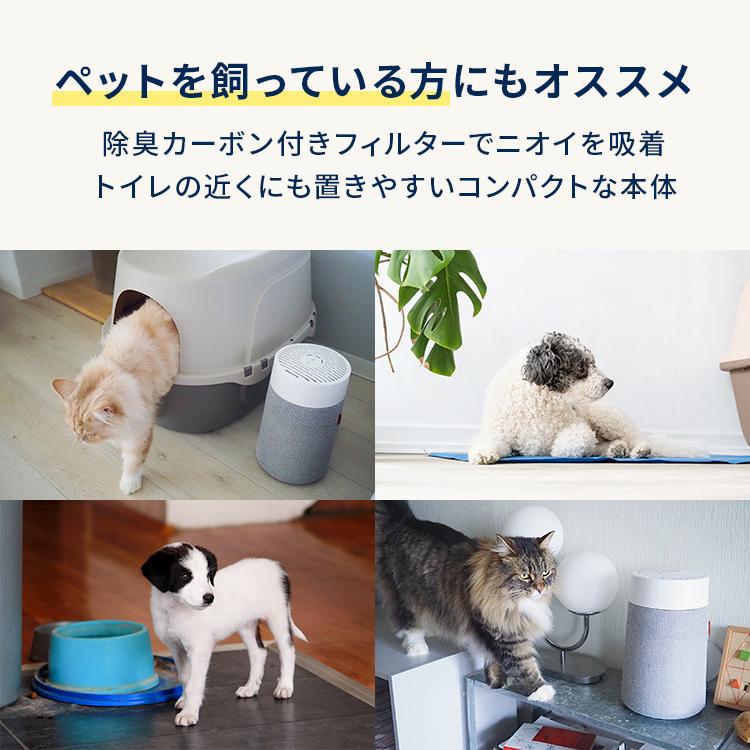 空気清浄機 ブルーエア Blue Mini Max 12畳 【フィルター+1個セット】 小型