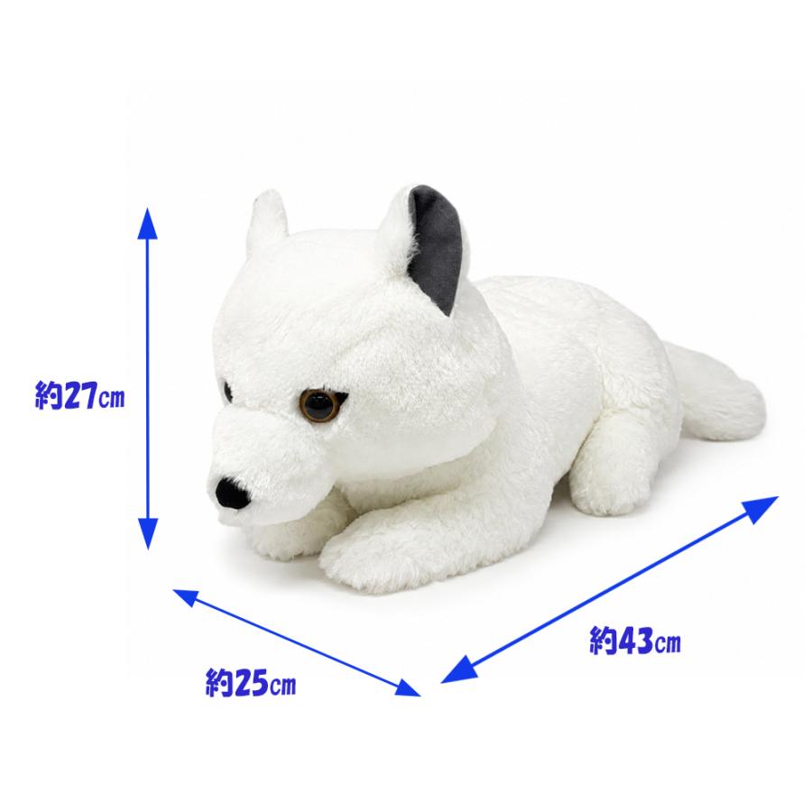 FANS ホッキョクギツネ ぬいぐるみ XL プレミアム グッズ 約45cm