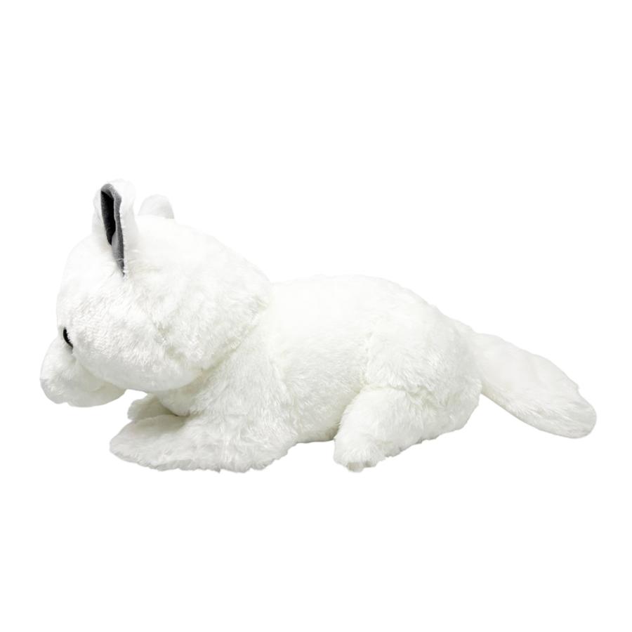 FANS ホッキョクギツネ ぬいぐるみ XL プレミアム グッズ 約45cm