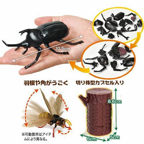 12体セット 超リアル ビッグ 昆虫 4D 立体 パズル フィギュア 甲虫