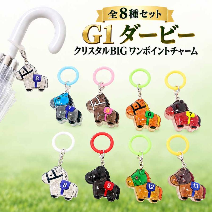 競馬 競走馬 アクリルキーホルダー 大量セット 全8種セット G1ダービー クリスタル BIG ワンポイントチャーム 競馬