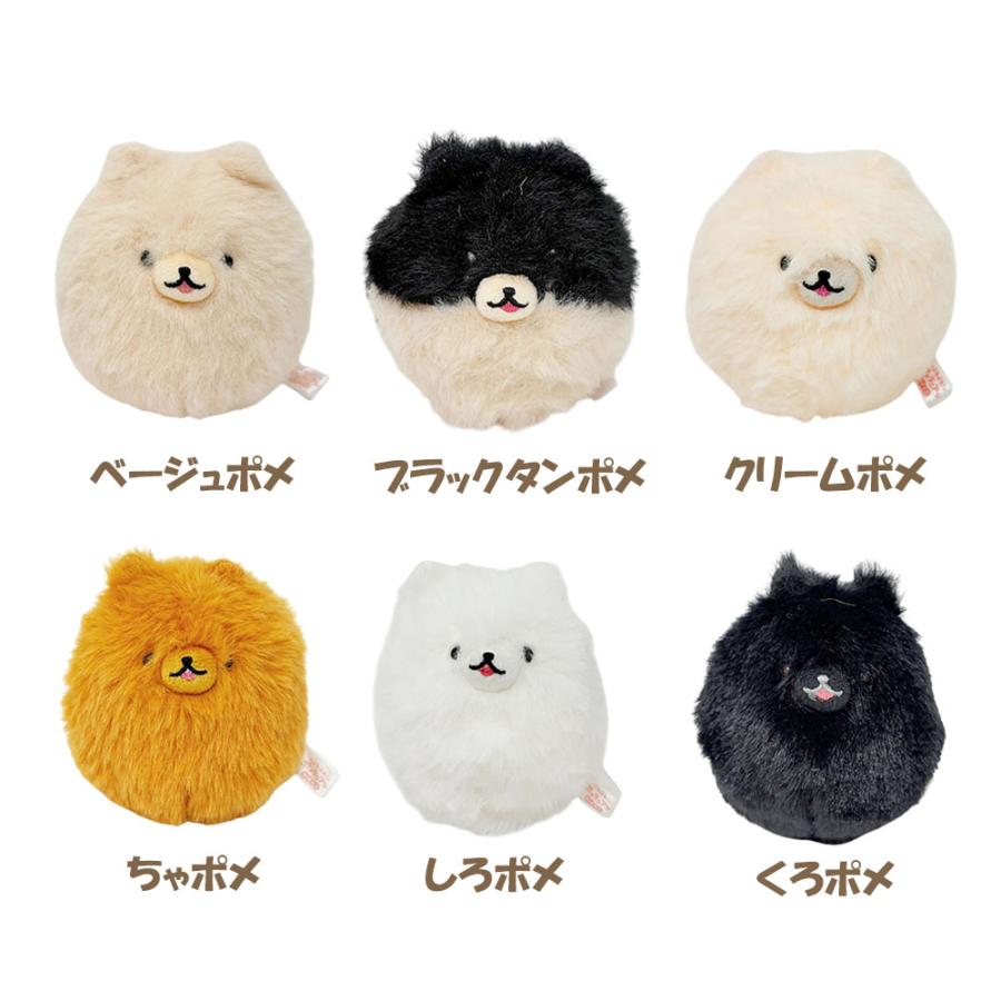 ぶるぶる！ポメラニアン かけっこ ベージュポメ ブラックタンポメ