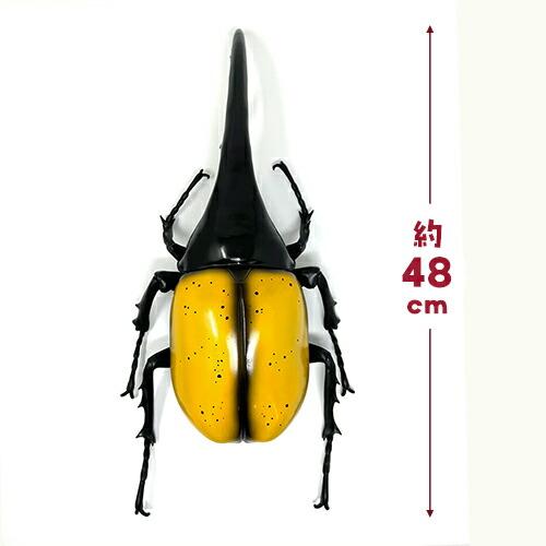 2個セット King of Big beetles カブトムシ ヘラクレスオオカブト