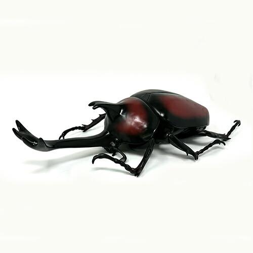 2個セット King of Big beetles カブトムシ ヘラクレスオオカブト
