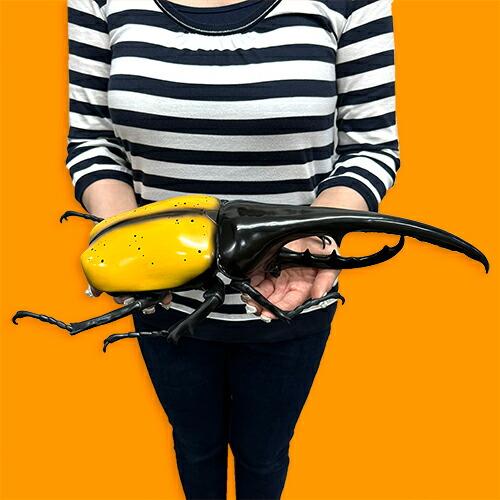 2個セット King of Big beetles カブトムシ ヘラクレスオオカブト