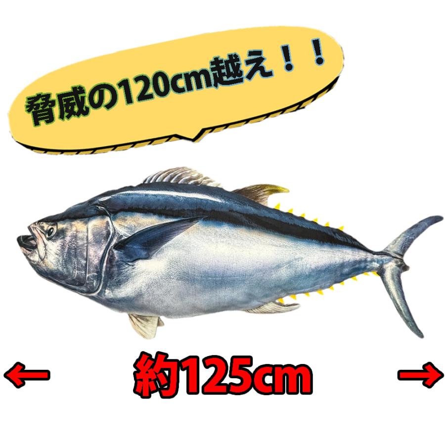 超リアル 本マグロ クロマグロ ホンマグロ バカデカ ぬいぐるみ BIG 