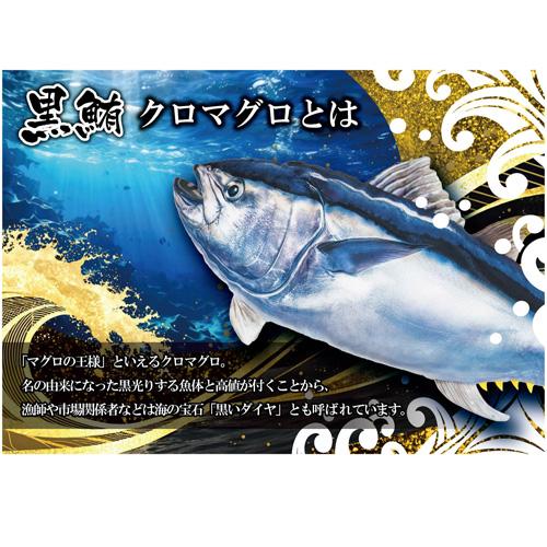 超リアル 本マグロ クロマグロ ホンマグロ バカデカ ぬいぐるみ BIG 