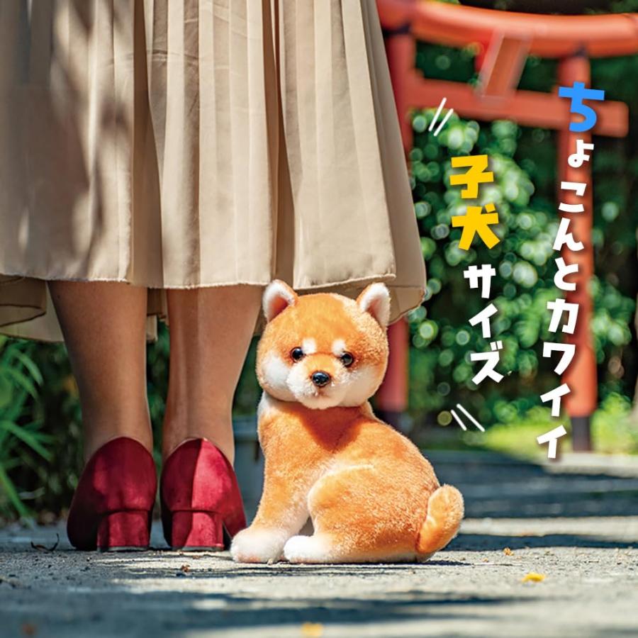 こっちおいで！ しば犬 ぬいぐるみ 22cm 犬 いぬ わんちゃん わんこ